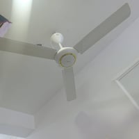 مروحه • اصليه