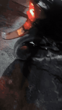 لسلام عليكم دراجه 60 للبيع الدراجه جديده مكينه خرسه كهربائيات شغاله سلف هندر نكره تاير خلفي جديد والامامي ماشاده موجود بس اتشده لان بعده مامستحك تبديل وبس القبق مال الاشاره واكع لايت عالي ناصي رماش السعر ـ. ٣٠٠وبيهه مجال للشراي مكاني بغداد الشعب رقم : ***********
