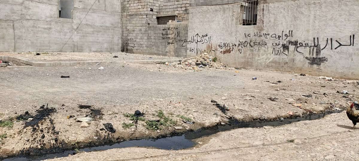 ارض للبيع قطع سادس ركن مربع سند زيراعي 25 واصل بلدي ‏‪***********‬‏ رقم الهاتف
