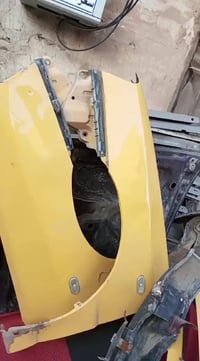 شيري كوين • جاملغات • الاعظمية