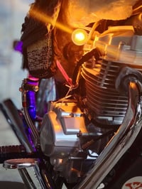 نامه • مكفوله • استنساخ 2026