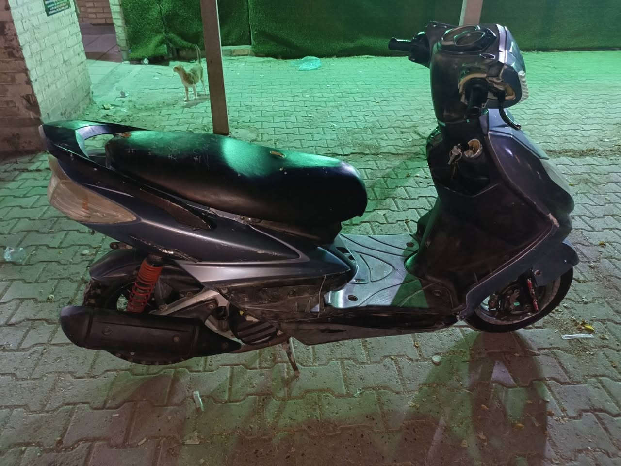 السلام عليكم سكنس فحل دراجه نظيفه محرك بلادي كفرات بلادي كهربائيات كلهه شغاله لايت زنون اشاير دبل اشاره هورن تشتغل سلف هندر بكل وقت محرك ناهم لاتبخير ولا نظوح شلعه ومعدل خير من الله السعر 600 مكاني باب المعظم قرب جسر باب المعظم ***********
