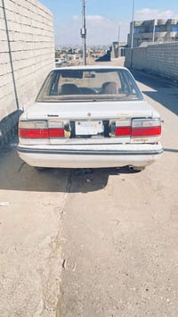 كورلا حبل للبيع  للا ستفسار  ٠٧٨٥٨٩٧١٤٤٥