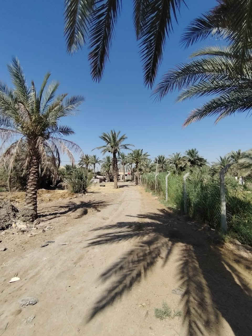 <قطعة ارض زراعي، مع بيت>
المساحه الكليه : 1500 متر،
نزال :80,
عرض:20،
مساحة البيت : 250 تقريباََ، 
السعر : 95 وبيها مجال.

للأستفسار
***********
