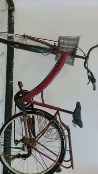 بايسكل • لون موروني • قابل تفاوض