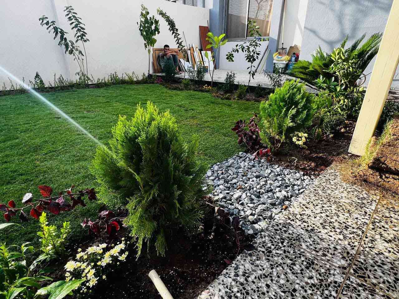 سلام عليكم شغلي ديكور حدائق زراعة اشجار حمضيات اشجار نخيل قص ثيل قص الشجار تنضيف اشجار نخيل 🌴
وبسعار مناسبه 
الاستفسار مراسلت الصفحه


**إذا كنت صاحب هذا الإعلان وتريد حذفه لأي سبب، رجاءا أرسل رسالة إلى الدعم الفني**