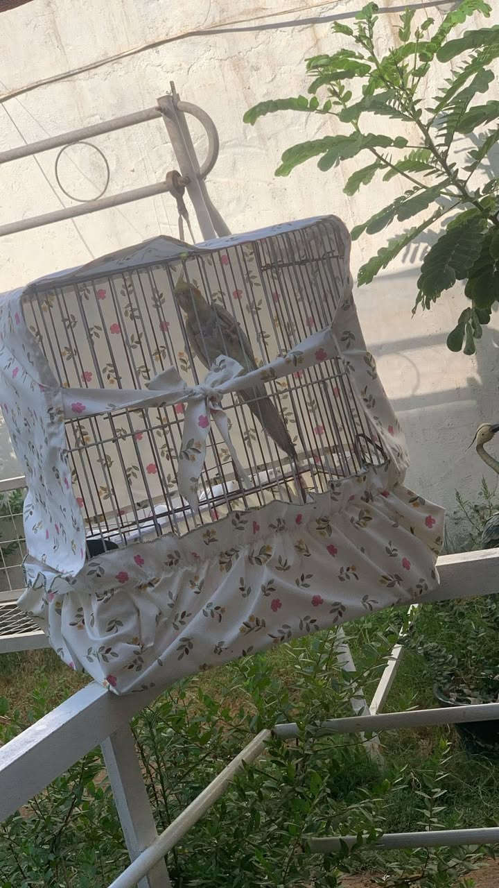 سويت فكرة جديدة لمحبين الحيوانات الاليفة والطيور ❤️🥹تلبيسة قفص طيور🐣🐦 يتكون من قطعتين
قطعة قاعدة للتخلص من النثر والقشور وقطعة غطاء لنوم الطيور 😴
قماش قطني يعبر هواء وسهل الغسل والاستخدام 
اتمنى تنال اعجابكم 
تنفيذ حسب الطلب


**إذا كنت صاحب هذا الإعلان وتريد حذفه لأي سبب، رجاءا أرسل رسالة إلى الدعم الفني**
