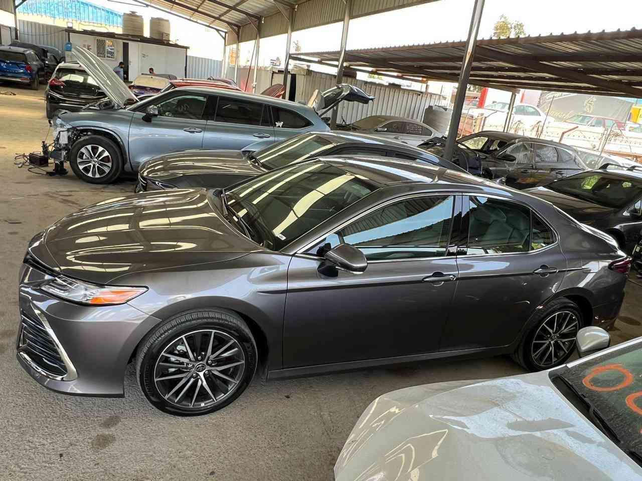 كامري هايبرد 2022 فئة XLE
رقم بغداد 
ماشيه 46 الف

المواصفات

بصمه 
تحكم ستيرن فول
مقاعد كهرباء
مقاعد جلد ابيض
شاحن واير لس
شاشة 
هاند بريك كهربائي
كامرة خلفية
مثبت سرعة
رادر امامي+ جانبي + خلفي 
لايت زنون
حاجب ال اي دي
اشارة جانبية
بصمة تشغيل
مقاعد تدفئة
ستيرن تدفئة
حساسات خلفيه
هاند بريك بصمة
تحكم سرعة
تحكم مسجل
اوامر صوتية
تبريد خلفي

ضررها واضح بالصور (بدون ايرباك) جميع الايرباكات سليمه
السيارة كامله مكمله بدون نقص
السعر 195 $ وبيها مجال قليل
للاتصال ***********
