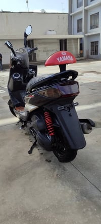 سكنس فحل • كوري • كابريتر