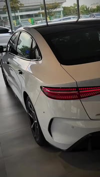 بايد سيل • هدية • تيليجرام