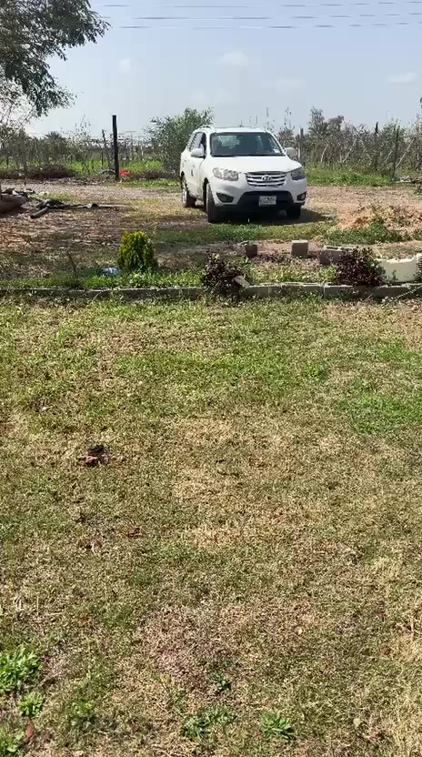 مزرعه في ابوذهب قريبه عن الشارع الوسط بيت صغير مع حديقه مزروعه فواكه منتجه تفاح عرموط نخل رمان سفرجل وحمضيات مساحه دونم ونصف مسيجه كهرباء واصل للمزرعه اعمدة كهربا ء.***********
