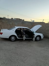رقم ديالى • كفالة عامة • ضربة قوية