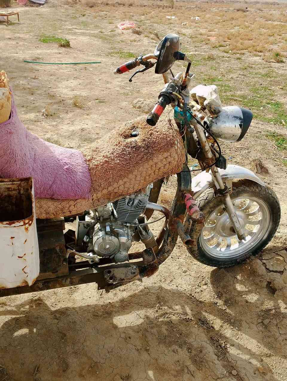 ستوته البيع مكان بابل شوملي رقم ***********
