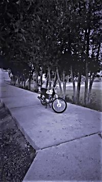 سلام عليكم دراجه نامه  محرك ارشه دراجه اصولي مديل 21 وكيله حمودي لعارضي 625وبيه مجال ***********ي ستفتار
