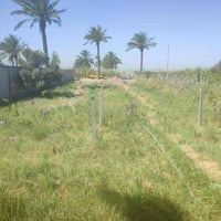 المدائن بسماية • ١٠٠٠م • واجهة١٥م