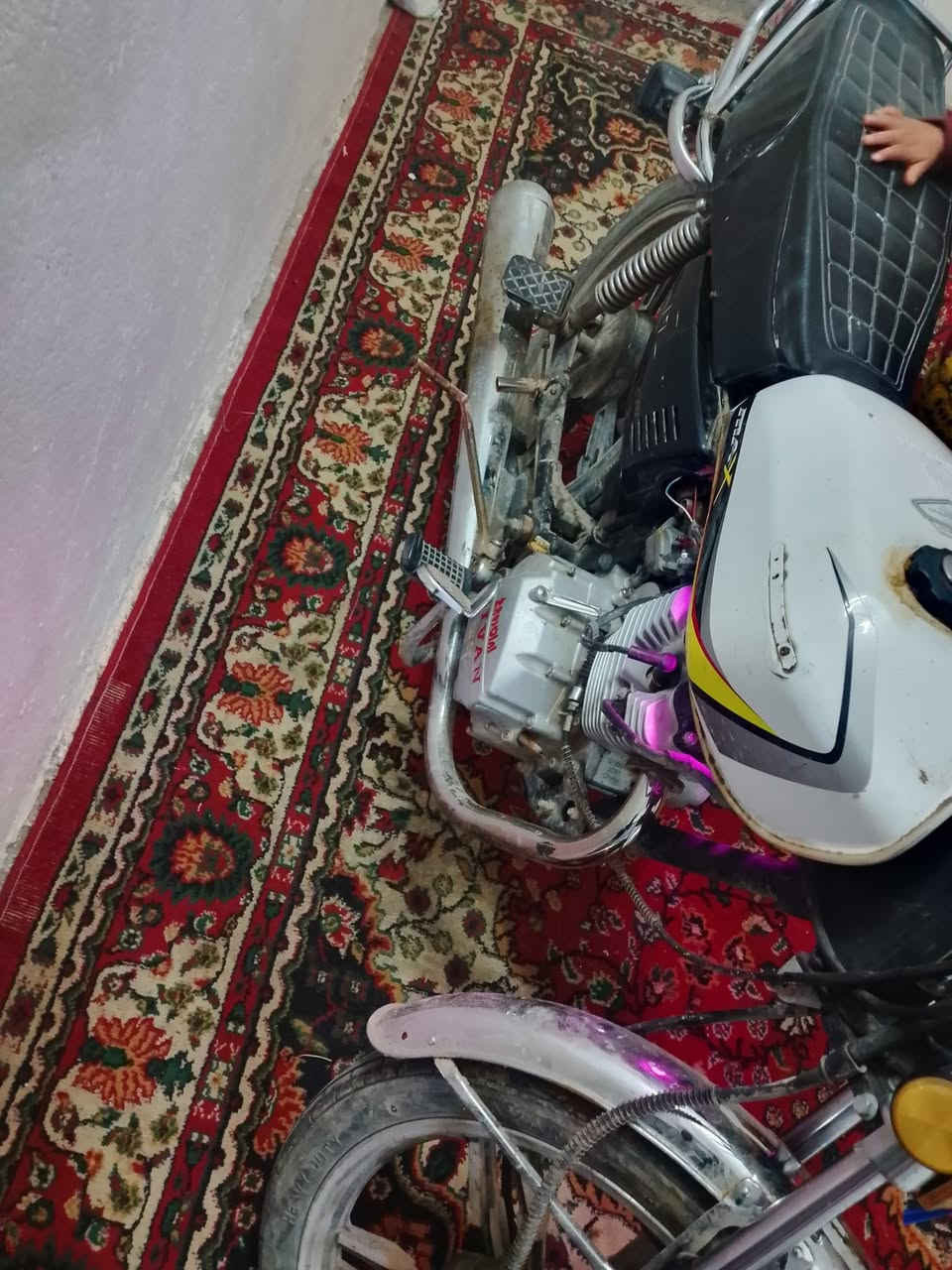 دراجه سافان 5كير مكفوله اوراق موديل 21 السعر خاص او الأتصال على ***********
