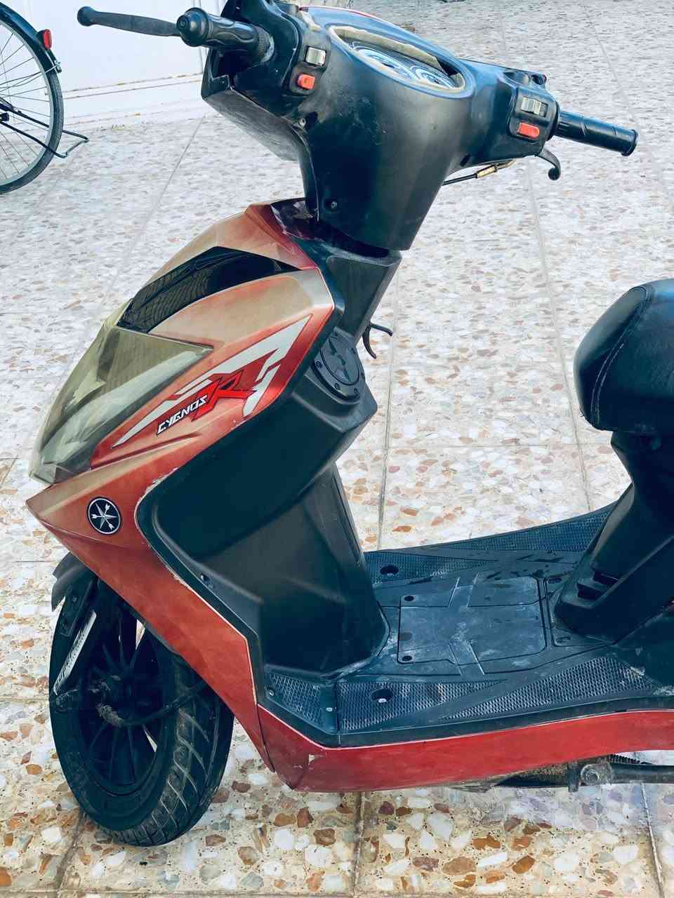 السلام عليكم شباب  دراجه سكنس   دراجه نقصها بس كتف اشاير فقط  دراجه حاليا تشتغل هندر و سلف لايت  هورن   دراجه مال جناي شلعه ومعدل ويل رياضي أمامي وخلفي  دبلات رياضي بيع ومراوس السعر   250 وبيه مجال قليل  واللي مو شراي لا يراسلني العنوان كربلاء حي العسكري الطاقه  متواجد على الواتساب الرقم ***********
