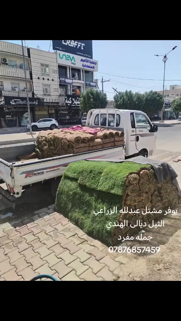 ثيل ديالئ  الهندي خضاره 100/100😍 😍
و ثيل الأمريكي
يتوفر جميع انواع ثيل جمله و مفرد
عنوان رمادي تأميم شارع المشاتل
تواصل ***********
يتوفر توصيل مجاني داخل رمادي حسب الكميه
