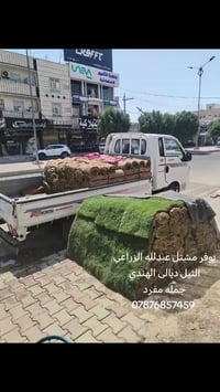 ثيل ديالئ  الهندي خضاره 100/100😍 😍 و ثيل الأمريكي يتوفر جميع انواع ثيل...