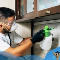 مكافحة حشرات • نمل • صراصير