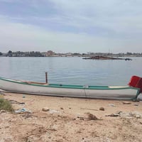 جنكوه • ١٥ ضراع • أبو الخصيب