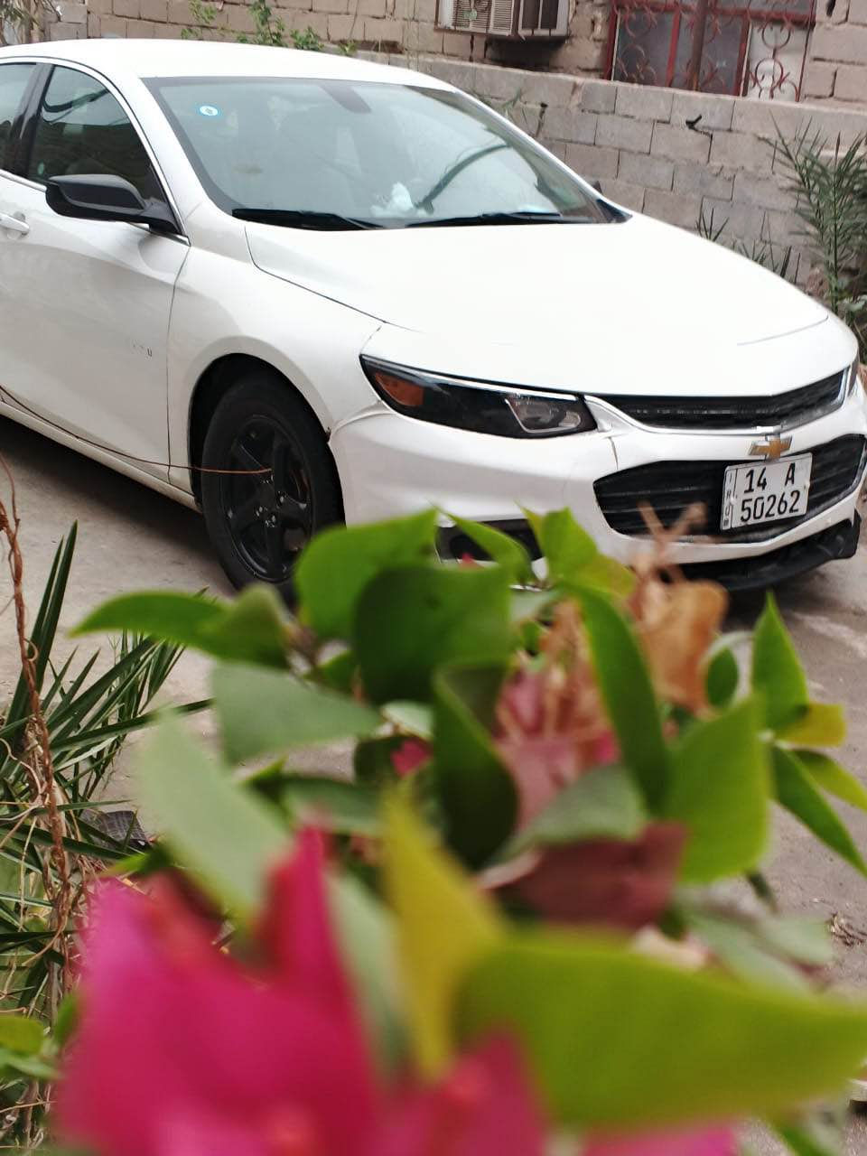 ماليبو 2018 مكينه كير كفاله 
تبريد شغال 
بصمه 
بصمه ابواب 
ضربته مدكر وجاملغ كما موضح 
السعر المطلوب شده10000 دولار
السيارة باسمي
للاستفسار
*********** البصرة, العراق
