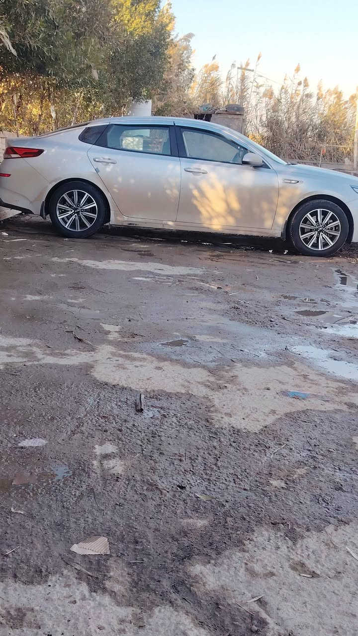 ابتما وارد كوري موديل 2022 كفاله عامه الاصبغ والاتبديل والا بارد مكينه كير تخم تاير تبريد جاهزه لاخير رقم قادسيه مكانه. ديوانيه السياره مواصفات فول عدا البصمه والبنراما رادار مرأي شفط كشن كهربائي كشنات جلد ماشيه 46 الف حقيقي ترهم مراوس السعر 183 وبيه مجال للشراي لاستفسار أكثر *********** مراوس ازير اوباما جارجر ترهم والرزق عله الله
