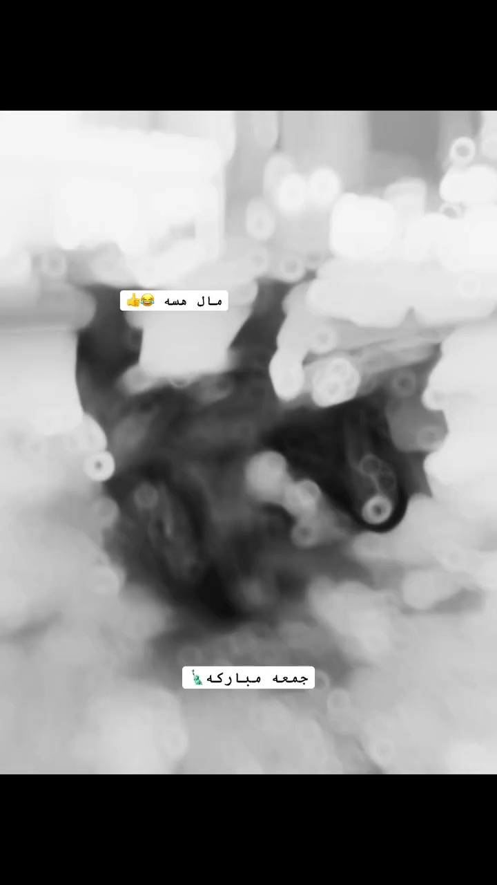 السلام عليكم ماكس عدله للبيع دراجه شلعه ومعدل نكره سلف بي وكت سلف بلادي دراجه خير من الله بيهه قاعده كوسوو وبكلايت اربعه وصالنصه ووياله وصدر وفج بريكات كهربايات كلهه شغاله السعر ٦٢٥بيهه مجال العنوان بغداد شهداء البياع رقم لهاتف ***********
