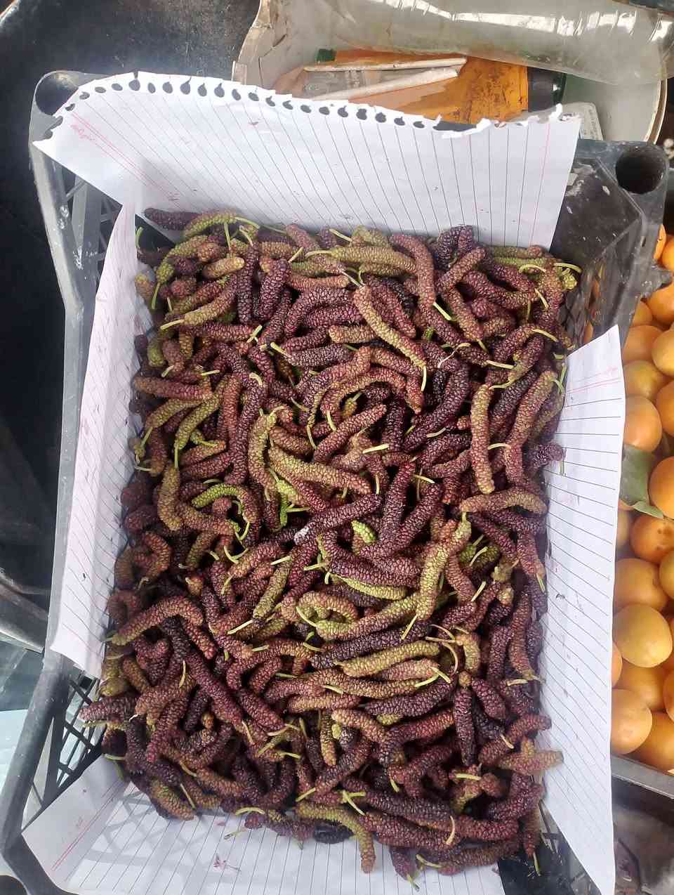 3 الف الكيلو واكو الفين توصيل الف


**إذا كنت صاحب هذا الإعلان وتريد حذفه لأي سبب، رجاءا أرسل رسالة إلى الدعم الفني**