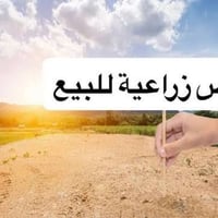 رفاعي قريه ال جراد • 50 دونم • ماي متوفر