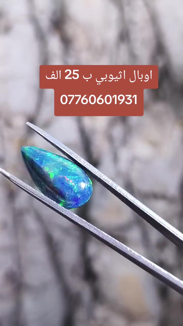 #اوبال #مجوهرات #احجار_كريمه


**إذا كنت صاحب هذا الإعلان وتريد حذفه لأي سبب، رجاءا أرسل رسالة إلى الدعم الفني**