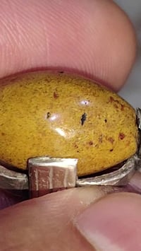 داودي • خرزه كامله • قديم