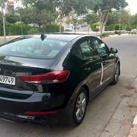 النترا • ٢٠١٧ • رقم اربيل