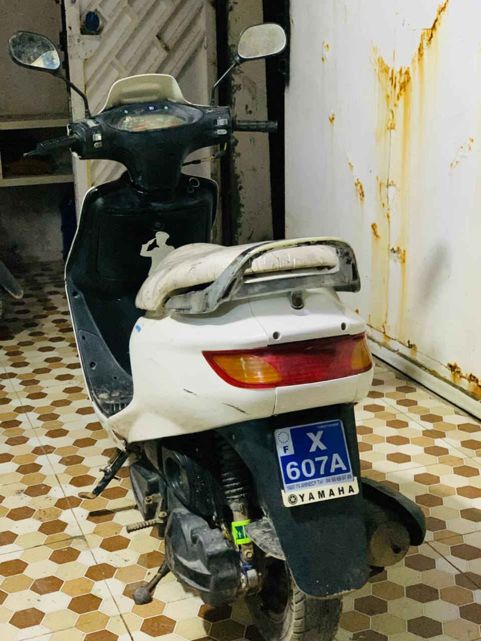 فراشه فحل كرستال مكفولة 
السعر/350وبيها مجال 
بابل حله
***********
