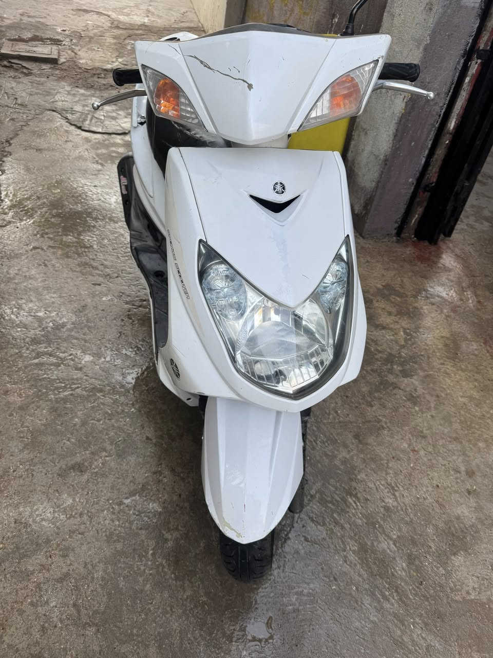 سكنس فحل للبيع مكاني بغداد الغزاليه السعر 700 مثا ما واضح بل صوره ***********
