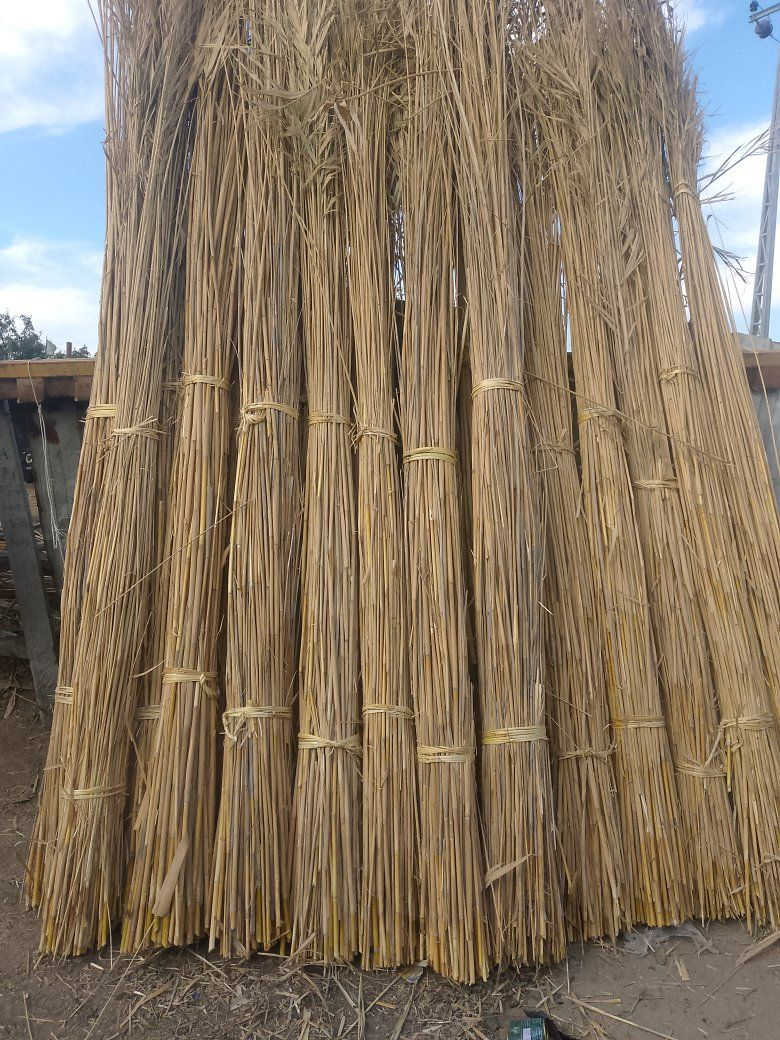 سلام عليكم من رخصت ابو الكروب يتوف بواري وكصب شباب نضيف ***********
