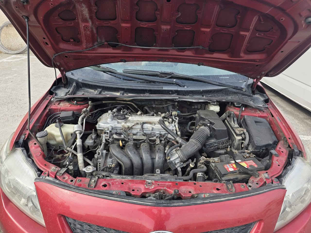 السلام عليكم كورلا 2009 وارد امريكي حادثه بابتين وبيه صبغ قماره بيه جراد محرك 1800رقم بغداد الدولي السياره خير من الله السونار مرفق ويه الصور سعر 90 سكن بغداد ***********
