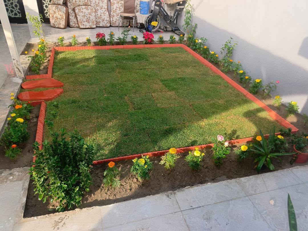 كرار تصميم الحدائق ومعلجه الرضه مستعدون الى كافه انواع الحدائق يوجد الدينا كادر متخصص في تقليم الشجار وترتيب الحدائق ***********
