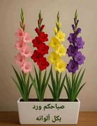 احبتي جميعا عندي قطعه أرض قرار١١٧مساحه ٩٠٠مترللبيع مستعجل على بيعها ها...