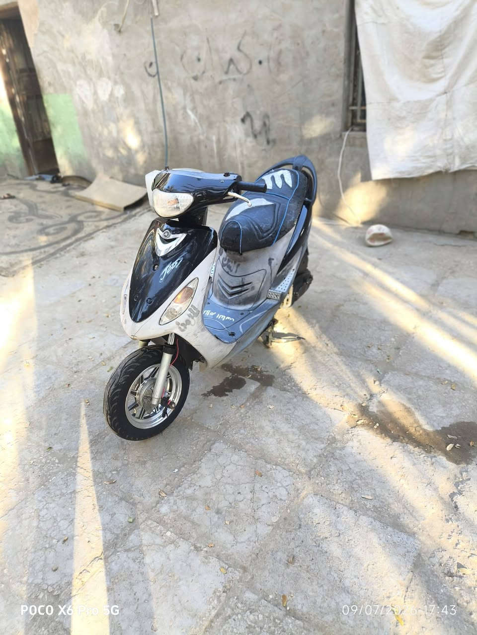 ماكس منغولي للبيع مفتوحه فقط ولفات ناعمه وحلوه رقم ***********
