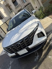توسان ابيض • ٢٠٢٤ • رقم بغداد