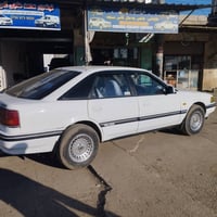 فتيس عادي • صدام بلاستيكي • حلبجة