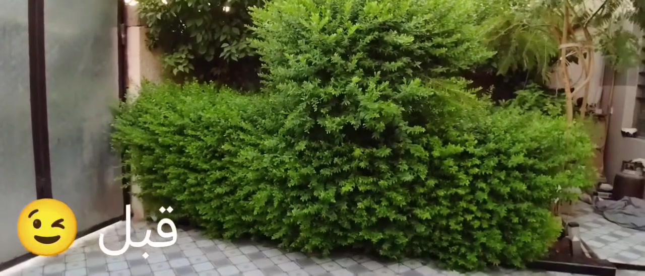 🌸 نعمل داخل بلد🫶
🌸زراعة الثيل 
🌸زراعة الاشجار 🌱🌲
🌸زراعة الورود وجميع نباتات
🌸قص الثيل وتحديدة  وترتيبها

العنوان قضاء بلد صلاح الدين ***********
