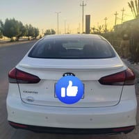 فل VIP • ٢٠٠٠ • كشنات جلد