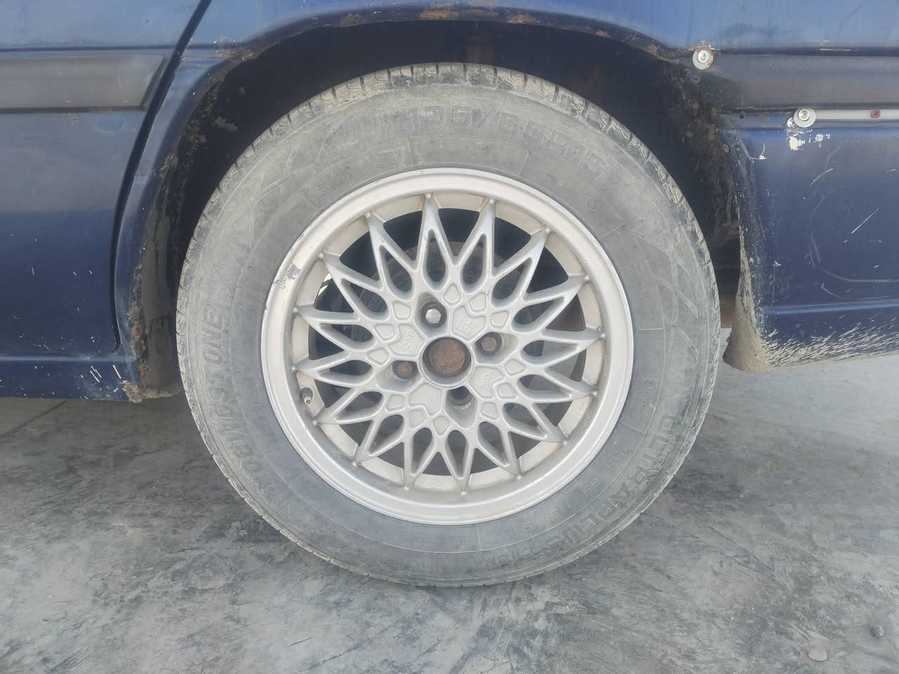 سلام عليكم  ويالا عنكبوت الحجم 15 العدد 5 السعر ب 300 مكان سامراء ***********
