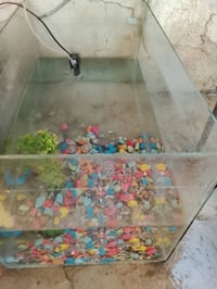 حوض سمك • كبير • واتساب