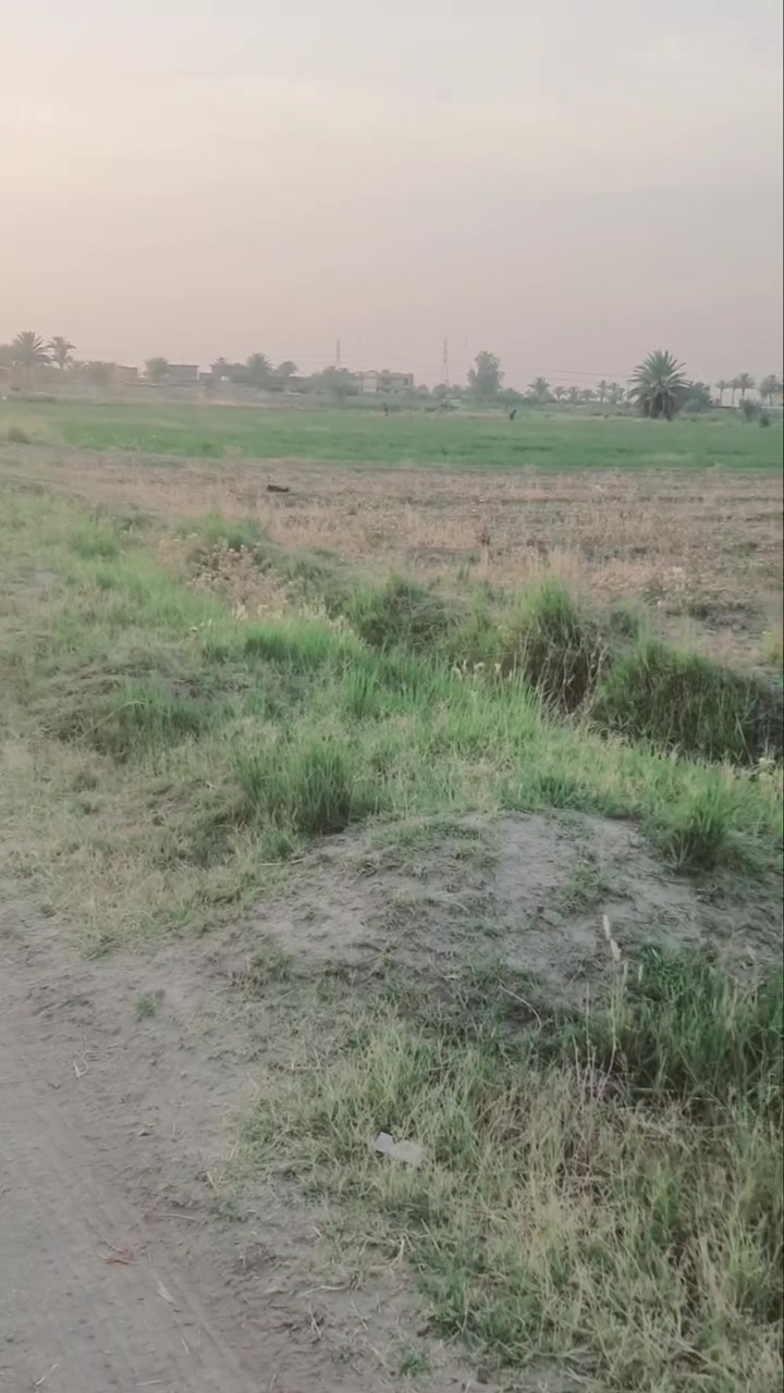 دونمين عقد17 من ضمن 9 دونم ثاني قطعه عن السريع مقابيل الشهداء واجها 50 ونزال 100 يرهمن سكن او مخازن السعر المطلوب الدونم 65 
***********
***********
