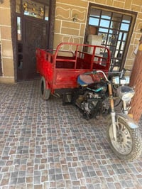 ستوتة • اوراق كاملة • محرك 2019