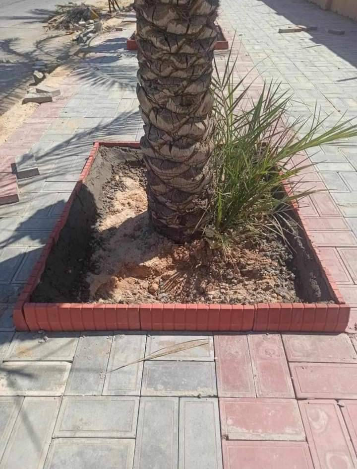 السَلٱمٌ عـَلـْيگمّ- عمل انوع المقرنص
عمل ساقيه ±عمل كربستون± عمل مرمر ±عمل بورسلين±
عمل بازلت± عمل كابات.±          [ شغل درجه اولئ امانه اللـۿـہٰ ورسوله ] شرط تسليم مهندس نشتغل بغداد وجميع  المحافضات 🇪🇬🇪🇭🇪🇸🇬🇮🇫🇯🇬🇦🇪🇨🇪🇹🇫🇰🇬🇮

للتواصل اتصل عل الارقام (***********

كل الارقام شغاله.  (***********
