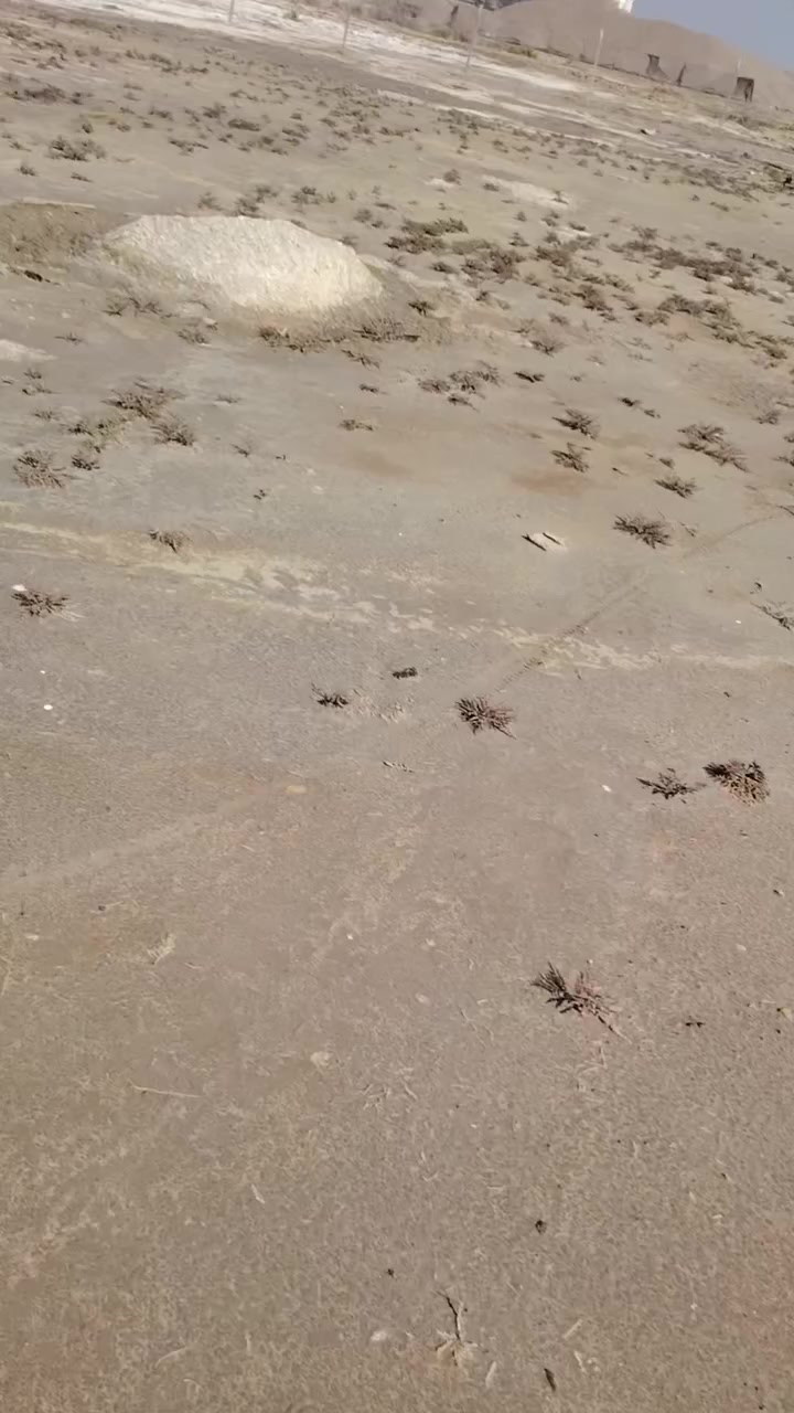 السلام عليكم
ارض طابو زراعي سند ٢٥ تحويل مباشر بسم المشتري بل طابو، المساححة دونم و٩٠٠م الواجهية ٥٥م الرض مربعة وتجارية تبعد عن شارع كربلاء ٤٠٠م من جهة بابل الرض يمهة معامل شارعهة ١٢م باقي التفاصيل بل فيديو هاذا رقمي *********** اتصل وتدلل غير متواجد عل فيس ممكن تتصل عل واساب
